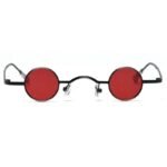 Lunettes Steampunk De Soleil Petites Rondes
