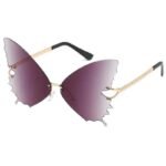 Lunettes Steampunk De Soleil Forme Papillon