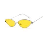 Lunettes Steampunk De Soleil Œil Rétro Femmes