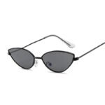 Lunettes Steampunk De Soleil Œil Rétro Femmes