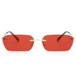 Lunettes De Soleil Steampunk Rectangulaires