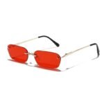 Lunettes De Soleil Steampunk Rectangulaires